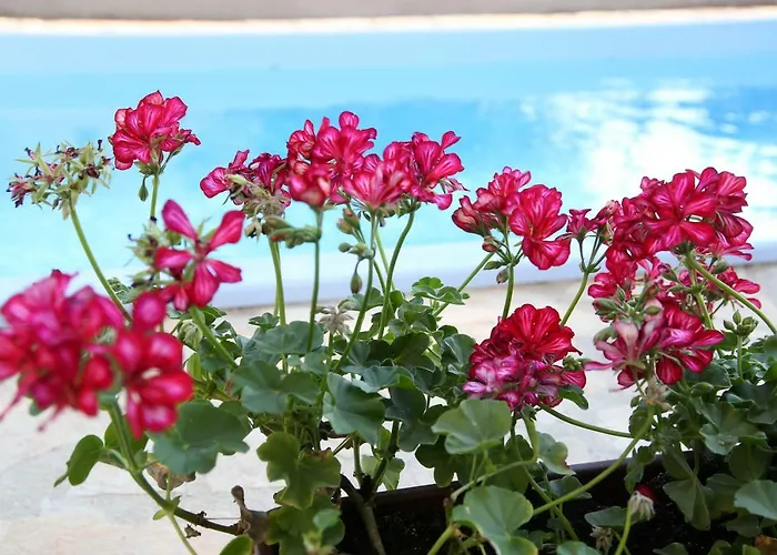 Split Hills Sea View * Kučine